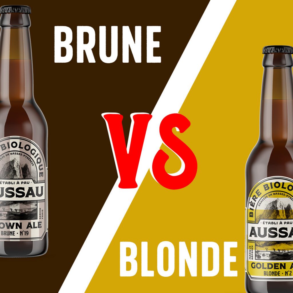 Bière Blonde vs Bière Brune : quelle est la différence ?